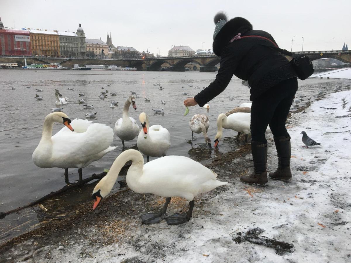 Apartment Vltava ปราก ภายนอก รูปภาพ